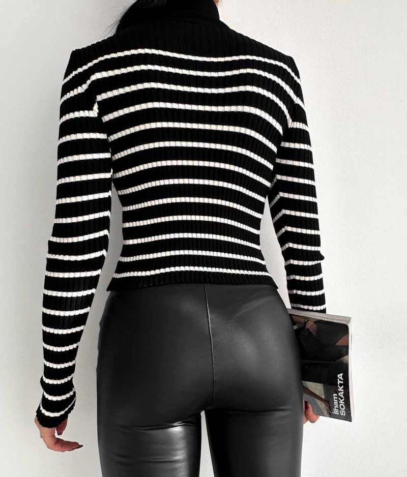 6524-Striped Slim Fit Ribbed Turtleneck Knit Sweater - Görsel 4