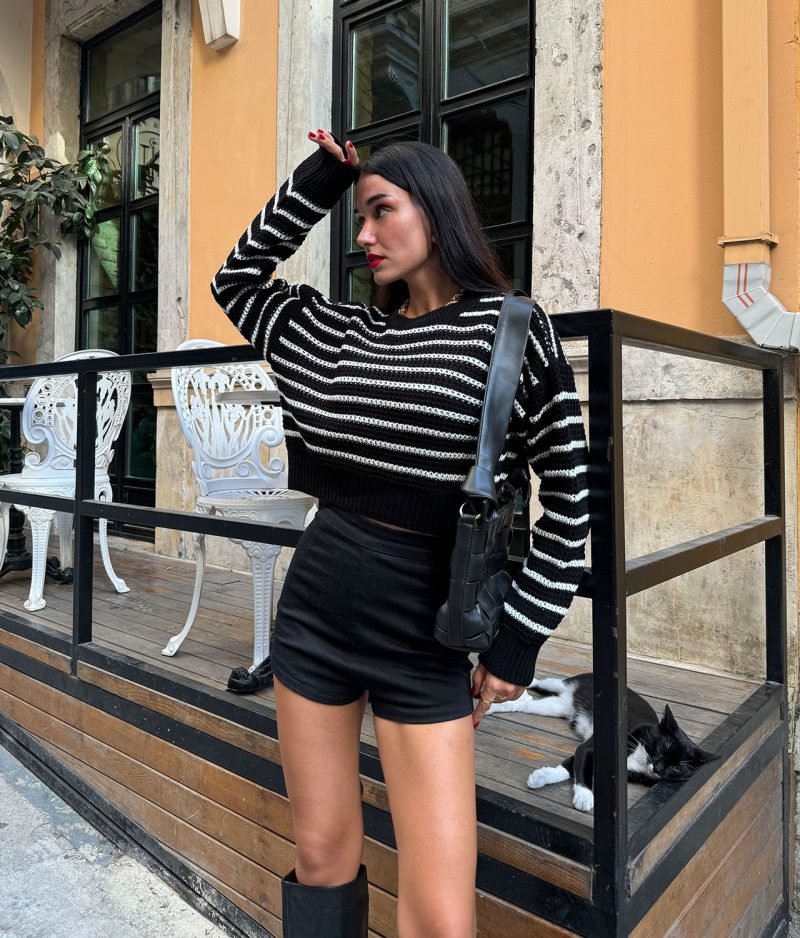 75115-Striped Crew Neck Sweater - Long Sleeve - Görsel 2